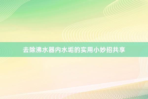 去除沸水器内水垢的实用小妙招共享